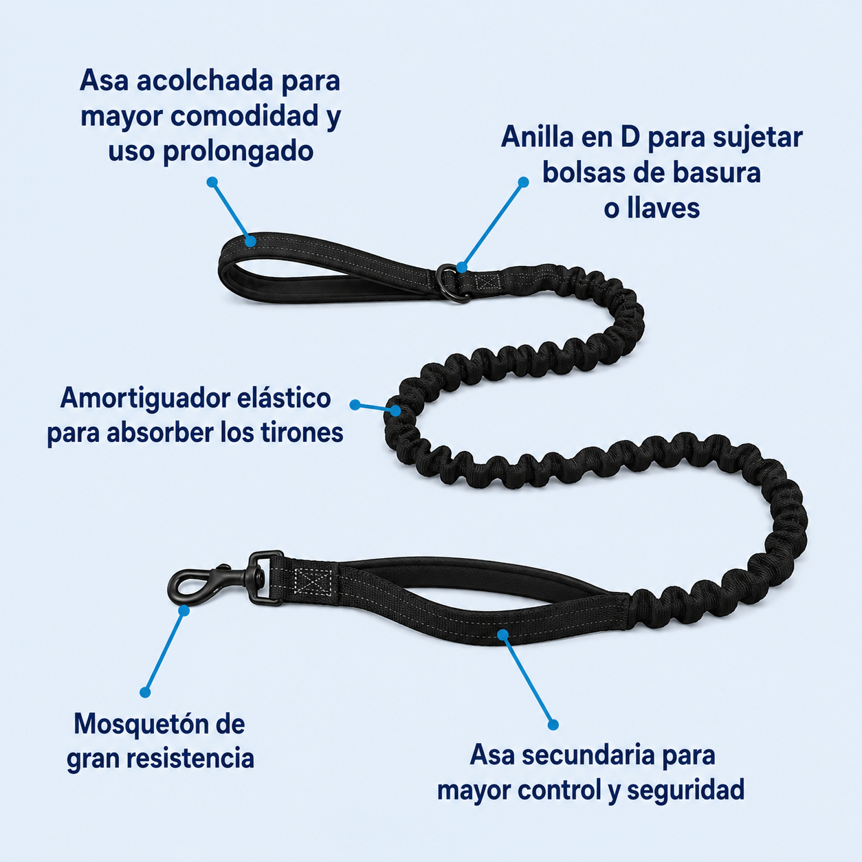 Correa elástica