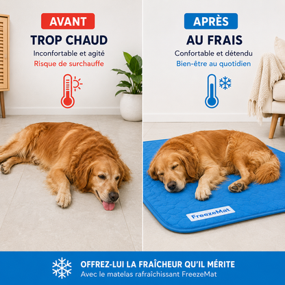 FreezeMat - Frais en 10 secondes